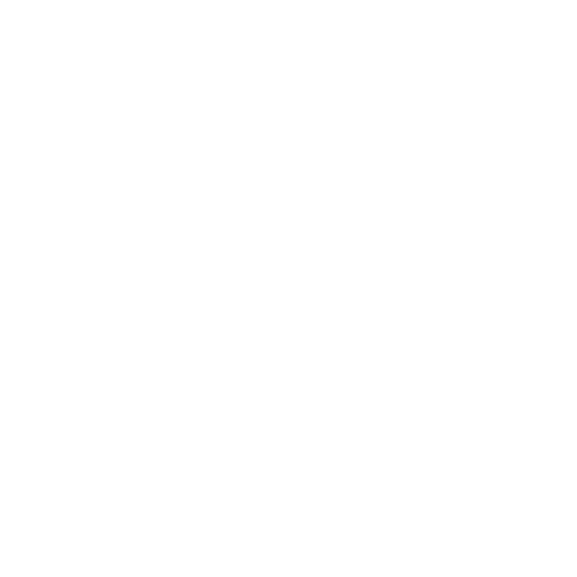 ONA Trans-Main Logo
