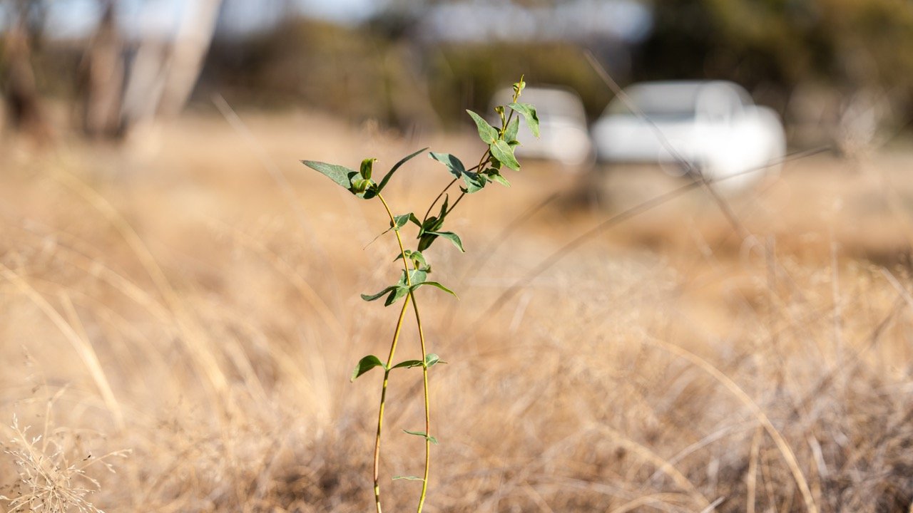 Greenprint project photography