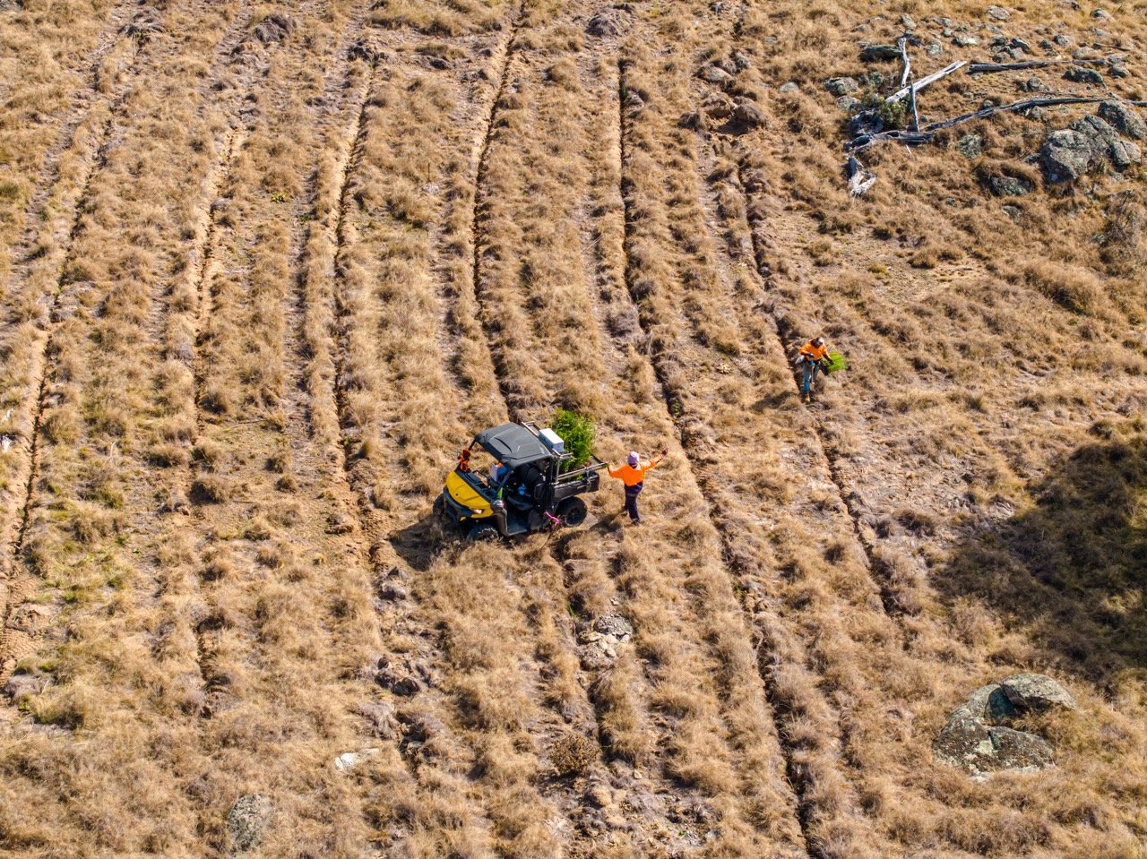 Greenprint aerial drone photography