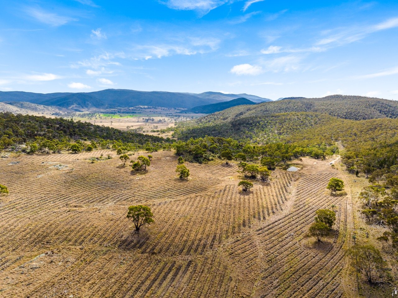 Greenprint aerial photography