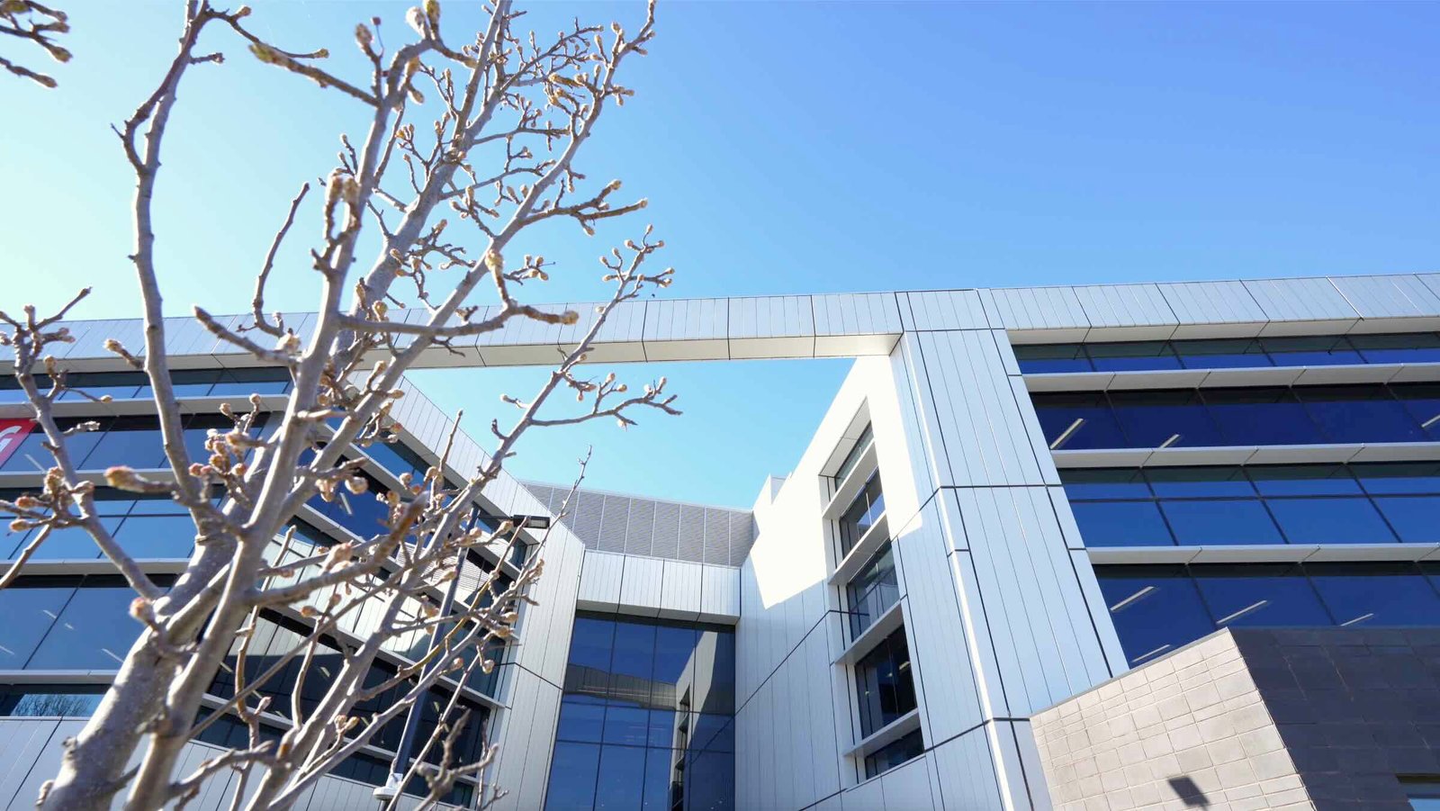 East Edge 2 angular facade and full-height glazing with mature gum tree in foreground